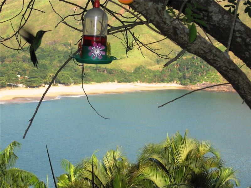 Hotel Ilha De Toque Toque Eco 4*